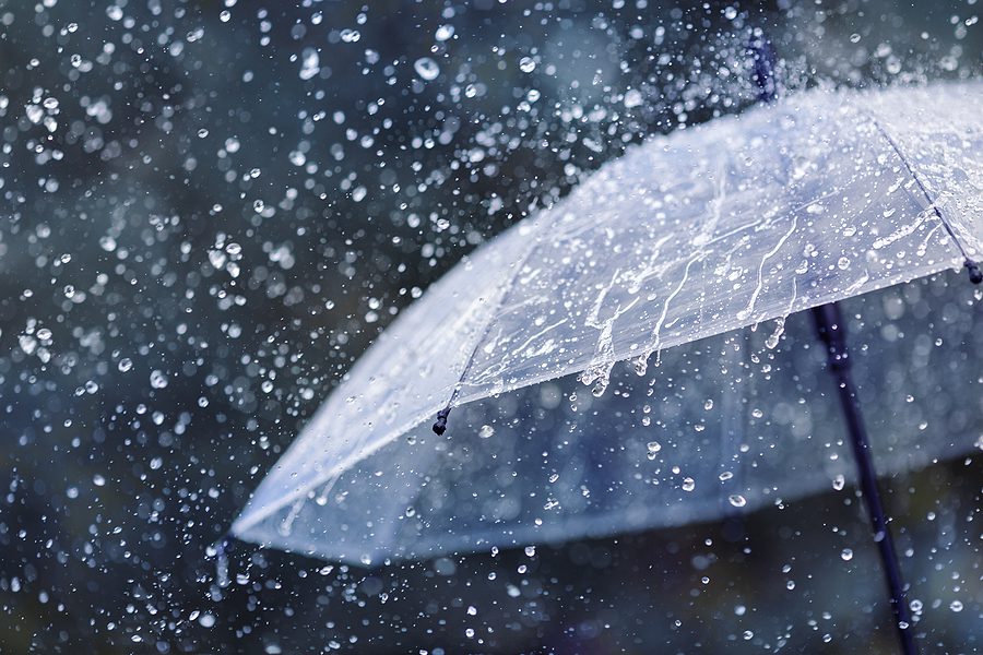 rain drops falling